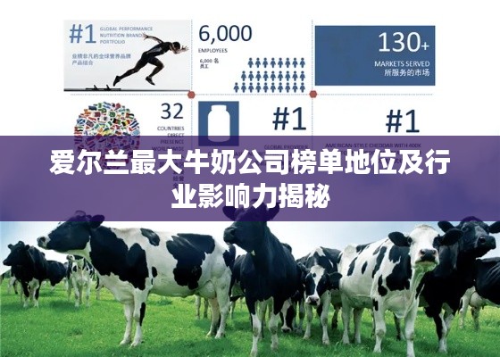 爱尔兰最大牛奶公司榜单地位及行业影响力揭秘