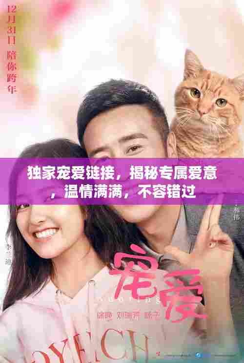 独家宠爱链接，揭秘专属爱意，温情满满，不容错过