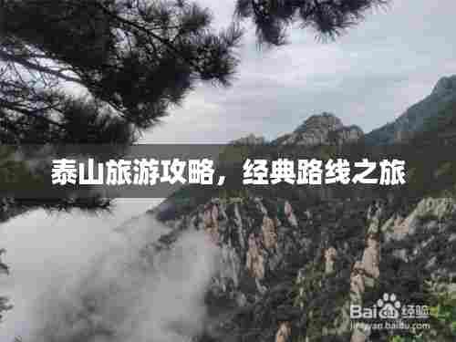 母以子贵 第5页