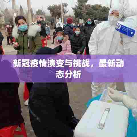 新冠疫情演变与挑战，最新动态分析