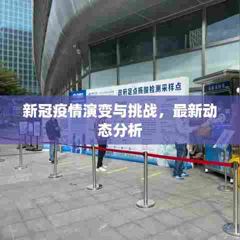 新冠疫情演变与挑战,最新动态分析