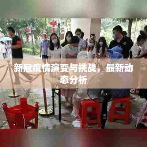 新冠疫情演变与挑战,最新动态分析