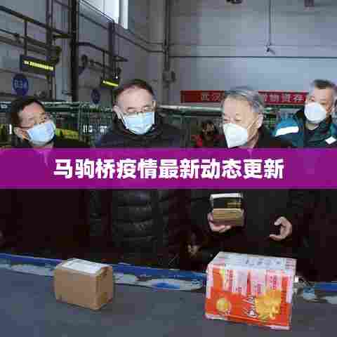 马驹桥疫情最新动态更新