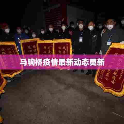 马驹桥疫情最新动态更新