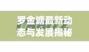 罗金塘最新动态与发展揭秘,新闻头条抢先看
