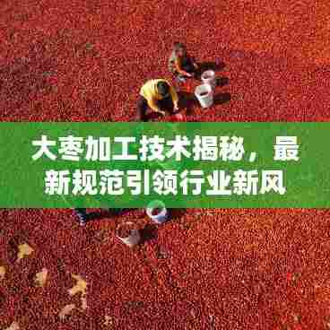 大枣加工技术揭秘,最新规范引领行业新风向