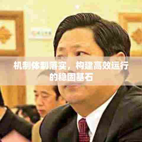 机制体制落实,构建高效运行的稳固基石