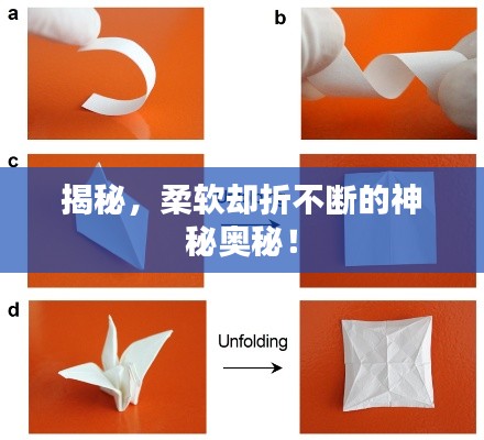 揭秘，柔软却折不断的神秘奥秘！