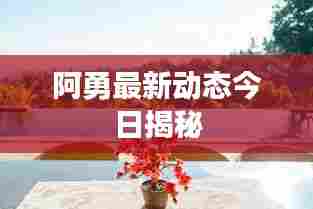 阿勇最新动态今日揭秘