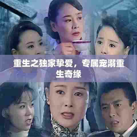 重生之独家挚爱,专属宠溺重生奇缘