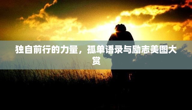 独自前行的力量，孤单语录与励志美图大赏