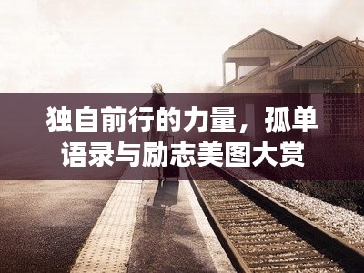 独自前行的力量,孤单语录与励志美图大赏