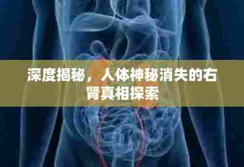 深度揭秘，人体神秘消失的右肾真相探索