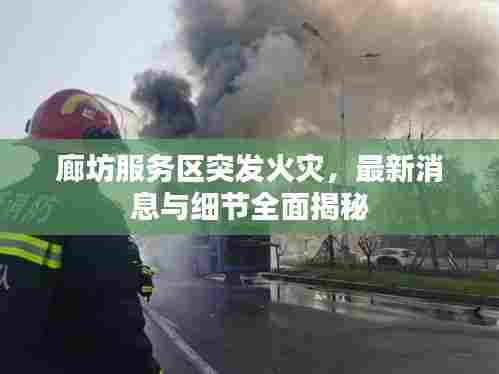 廊坊服务区突发火灾，最新消息与细节全面揭秘