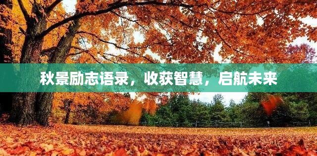 秋景励志语录,收获智慧,启航未来