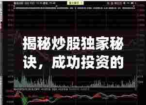 揭秘炒股独家秘诀,成功投资的策略与关键要素