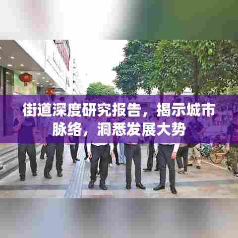 街道深度研究报告,揭示城市脉络,洞悉发展大势