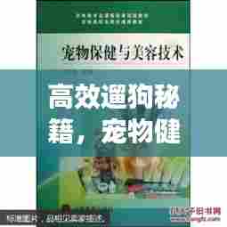 荆钗布裙 第6页