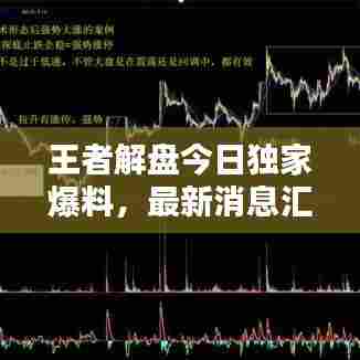 王者解盘今日独家爆料，最新消息汇总