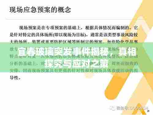 宜春玻璃突发事件揭秘,真相探究与应对之策