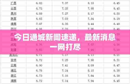 今日通城新闻速递,最新消息一网打尽