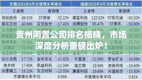 贵州闲置公司排名揭晓,市场深度分析重磅出炉!