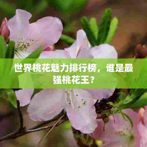 世界桃花魅力排行榜，谁是最强桃花王？