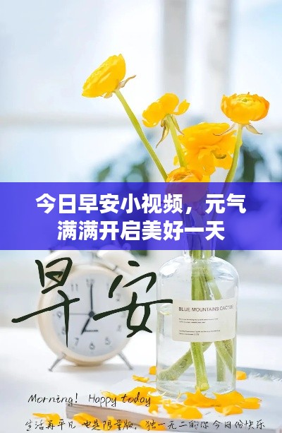 今日早安小视频,元气满满开启美好一天