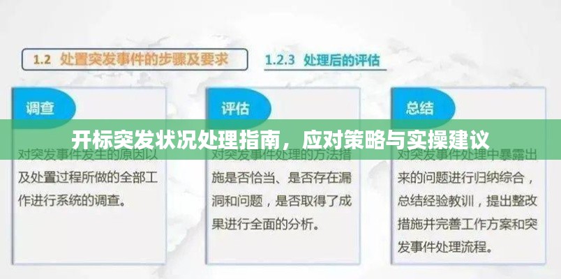 开标突发状况处理指南,应对策略与实操建议
