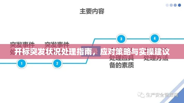开标突发状况处理指南,应对策略与实操建议