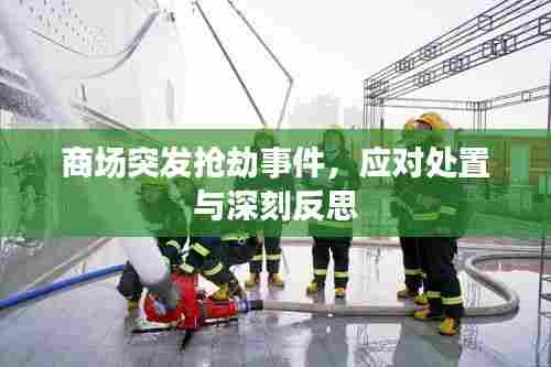 商场突发抢劫事件，应对处置与深刻反思