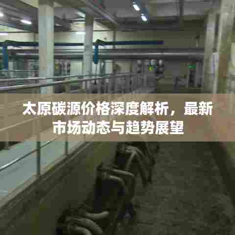太原碳源价格深度解析,最新市场动态与趋势展望