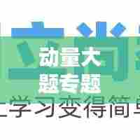 动量大题专题深度解析，理解与应用指南