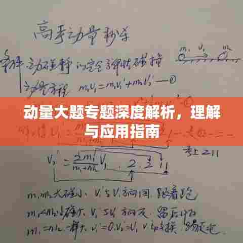 动量大题专题深度解析,理解与应用指南
