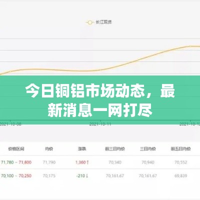 今日铜铝市场动态,最新消息一网打尽