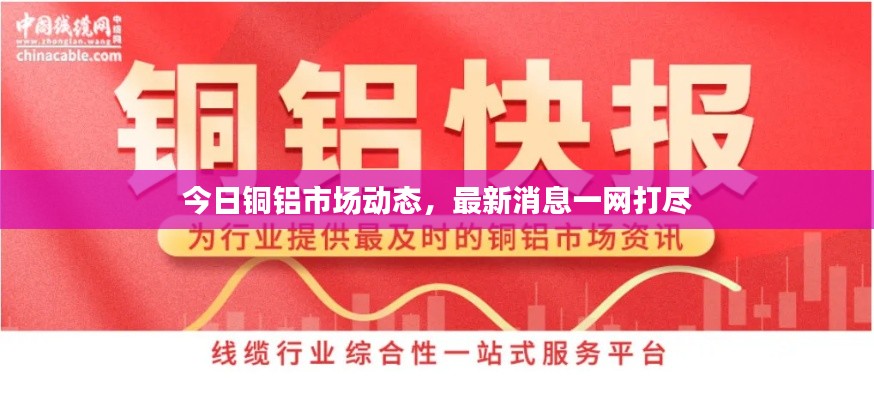 今日铜铝市场动态，最新消息一网打尽