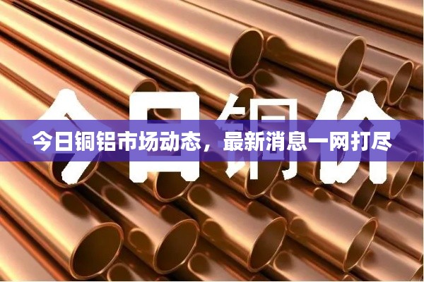 今日铜铝市场动态,最新消息一网打尽