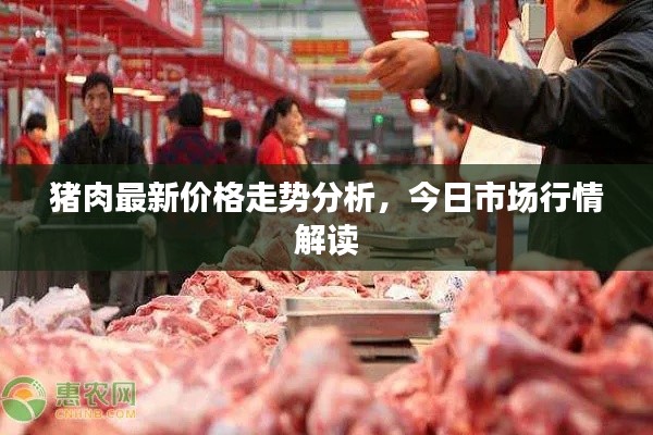 猪肉最新价格走势分析，今日市场行情解读
