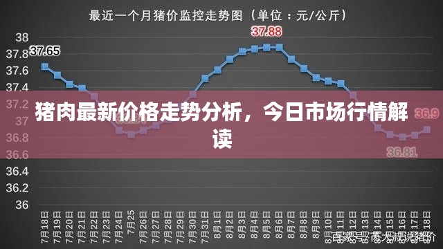 猪肉最新价格走势分析,今日市场行情解读