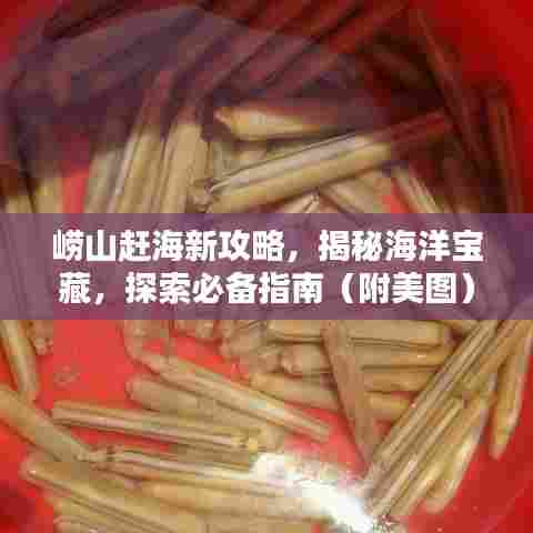 崂山赶海新攻略,揭秘海洋宝藏,探索必备指南(附美图)
