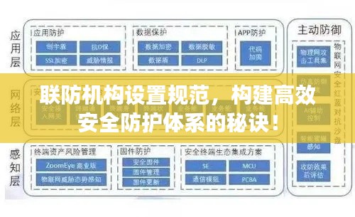 联防机构设置规范，构建高效安全防护体系的秘诀！