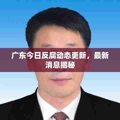 广东今日反腐动态更新，最新消息揭秘