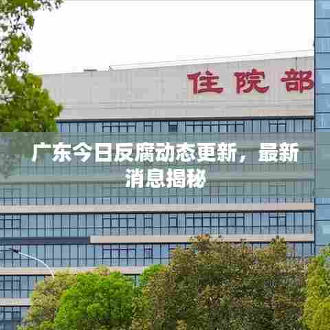 广东今日反腐动态更新,最新消息揭秘