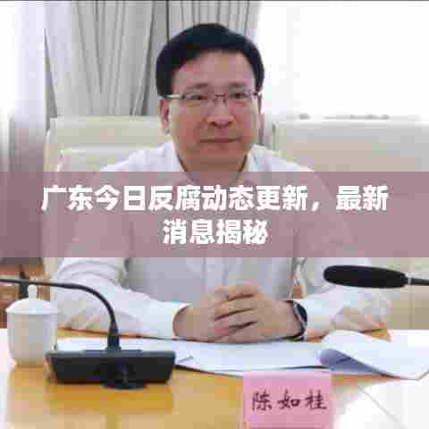 广东今日反腐动态更新,最新消息揭秘