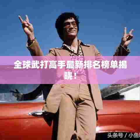 全球武打高手最新排名榜单揭晓！