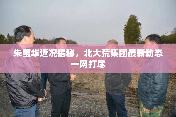 朱宝华近况揭秘，北大荒集团最新动态一网打尽