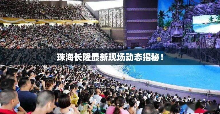 珠海长隆最新现场动态揭秘!