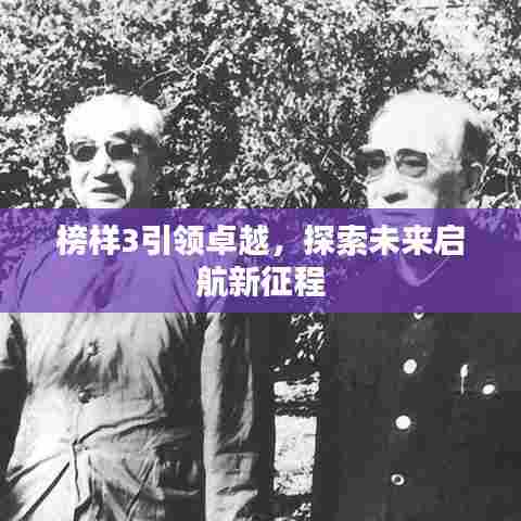 榜样3引领卓越,探索未来启航新征程