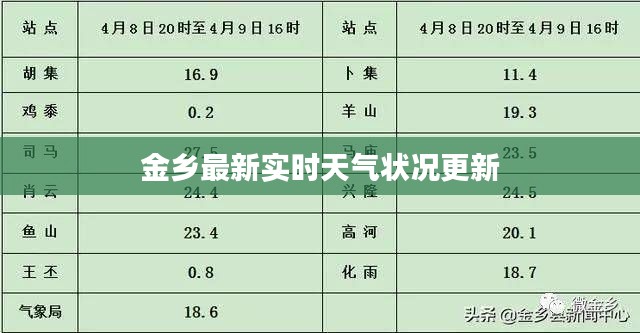 金乡最新实时天气状况更新