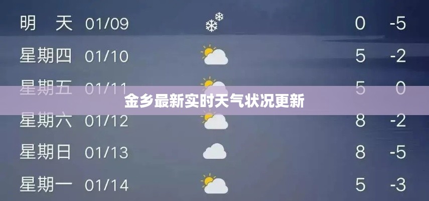 金乡最新实时天气状况更新